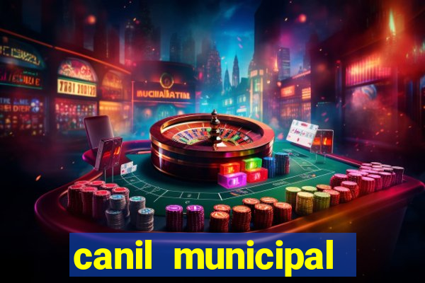 canil municipal porto alegre